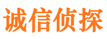 安化侦探公司